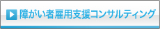 障がい者雇用支援コンサルティング