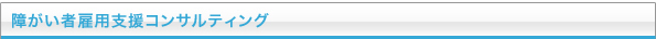 障がい者雇用支援コンサルティング